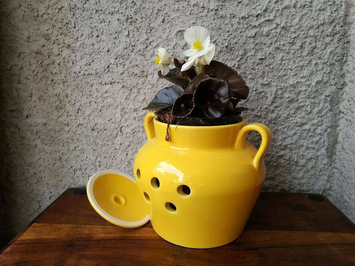 Ca Giuliana Hotel Marina Di Carrara Guest house
