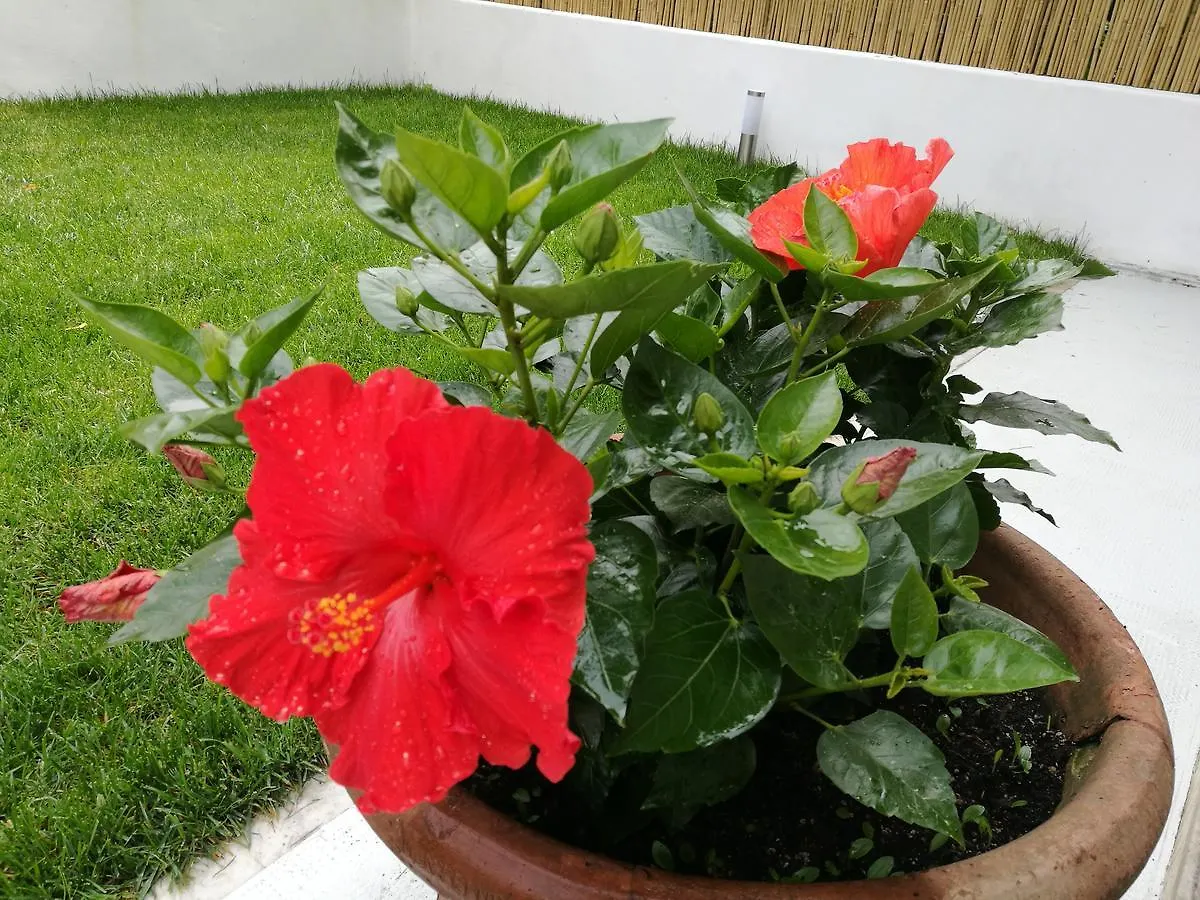 Guest house Ca Giuliana Hotel Marina Di Carrara